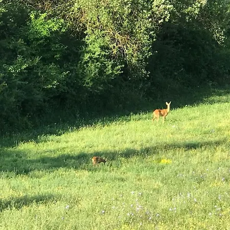 Apartamento Era Del Cinghiale Bianco, Intera Cascina Nel Parco Di