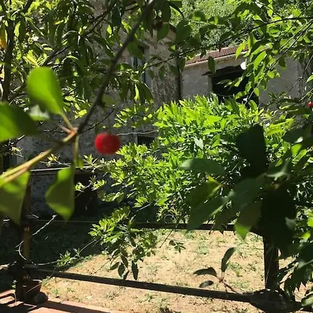 Era Del Cinghiale Bianco, Intera Cascina Nel Parco Di *