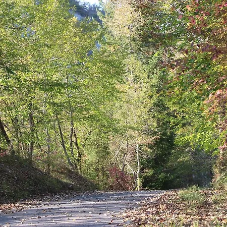 Apartamento Era Del Cinghiale Bianco, Intera Cascina Nel Parco Di
