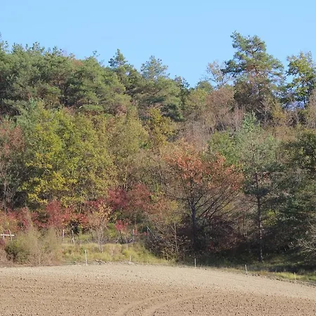 Apartamento Era Del Cinghiale Bianco, Intera Cascina Nel Parco Di