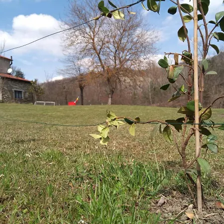 Era Del Cinghiale Bianco, Intera Cascina Nel Parco Di *